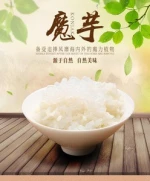 instant konjac rice fresh Konjac wok Ready Rice/noodle/pasta