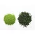 Import Japanese Imported Ceremonial Green Matcha Tea With Good Price from Japan
