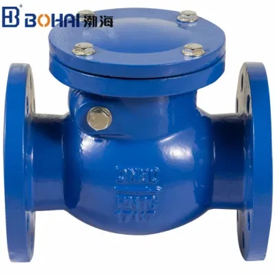 Lifiting Swing Disc Type Check Valve