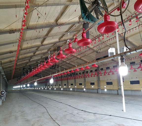 Lighting System For Poultry Farm