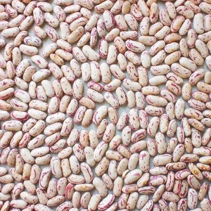LSKB /Light Speckled Kidney Beans, Pinto Beans, Sugar Beans