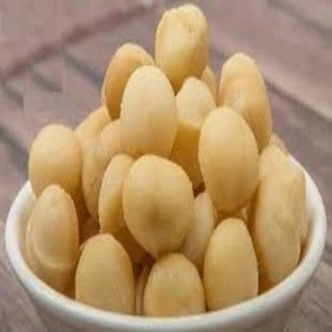 Macadamia nut in shell, macadamia nut kernel