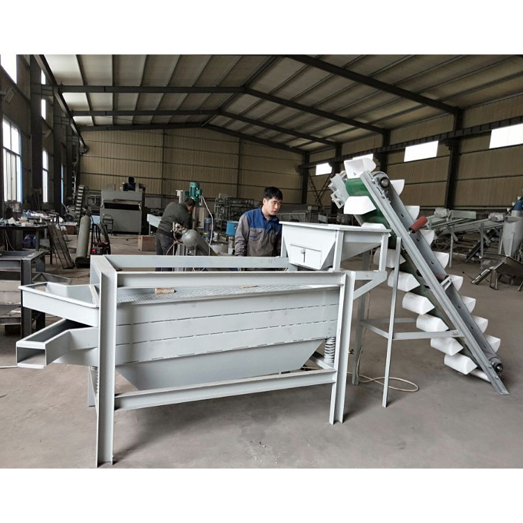 Buy Macadamia Nuts Optical Grading Sorting Machine Chestnut Sorter ...