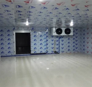 Made in Guangzhou Cold Room for Ice Fruit Vegetable Meat Flower Fish Storage