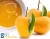 Import Mango Fruit Juice from India