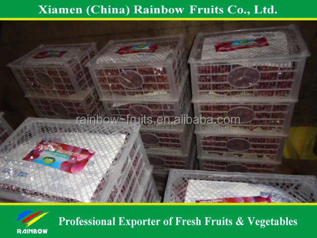Nasik grapes from Yunnan &amp; Xinjiang area Red globe grape fresh fruit Red grape from China import export companies pune