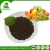 Import Natural diammonium phosphate fertilizer for vegetable from China