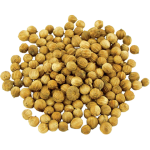 100% Natural Dry Various Herbs Green Color Aromatic Condiment Aromatic and Flavorful Herb Fennel Seeds
