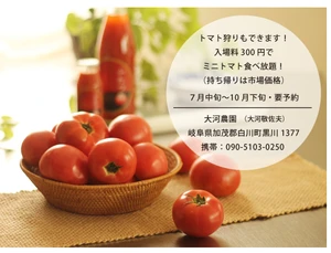Natural Tomato Juice Drink/Soft Drink Made in Japan