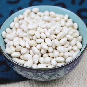 navy white kidney beans in bulk