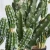 Import Nearly Nature Decorative Cactus Artificial Plant Faux Fake Saguaro Cactus Artificial Small Potted for Home Office Decor Indoor from China