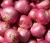 Import New Crop Fresh Onion Importer From india from India