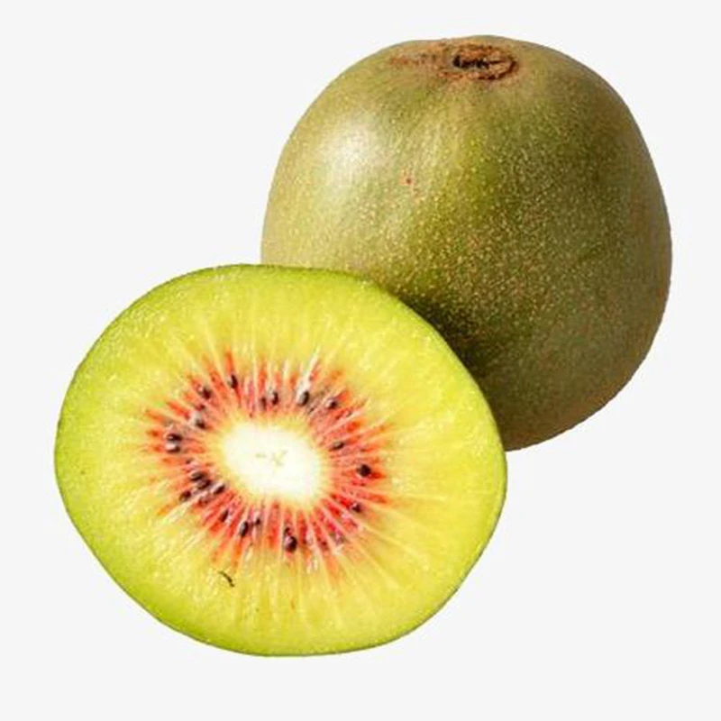 New Crop Hayward Fresh Green Kiwi Fruit