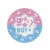 Import New Design baby shower themed Wholesale gender reveal party supplies from China