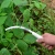 Import New Design Garden Tool Steel Head Held Farming Tool Hand Sickle from China