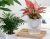 Import Nursery plastic flower pot, plastic soft flowerpot for garden, garden product flowerpots from China