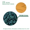 OEM private label Spirulina 250mg Tablets wholesale sports supplements