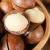 Import Organic Certified Macadamia Nuts High Quality from Austria