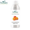 Organic Cloudberry Oil | Nordic Berry Seed Oil | Knotberry Oil - 100% Pure & Natural Essential Oils - Wholesale Bulk Price