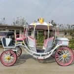 outdoors cinderella horse carriage for sale  working in the amusement park and tourist resorts