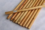 Painted long handle soft brush/cleaning brush with telescopic handle/car wash brush with long handle