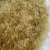 Import Parboiled Rice / Long Grain Rice 5 broken from Germany