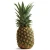 Import Pineapples from India