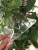 Import Plastic Anti-fog Eye Protection Face Shield and safety face_shield protective faceshield from China