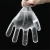Import plastic disposable gloves plastic gloves cook disposable plasticgloves from China