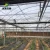 Import Plastic Film Greenhouse Use Greenhouses Film China Multi-span PO Film Greenhouse from China