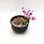 Import Portable LFGB-Certified Trough/ Large Multipurpose Hanging/Standing Garden Flower Pot/Planter/Picnic Sundries Collector from China