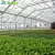 Import Professional design tunnel plastic film greenhouse from China