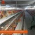 Import Quail Farm Layer Cage  Quail Breeding Cages Commercial Quail Cages from China