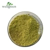 quercetin plant extract/quercetin bulk/quercetin 98%