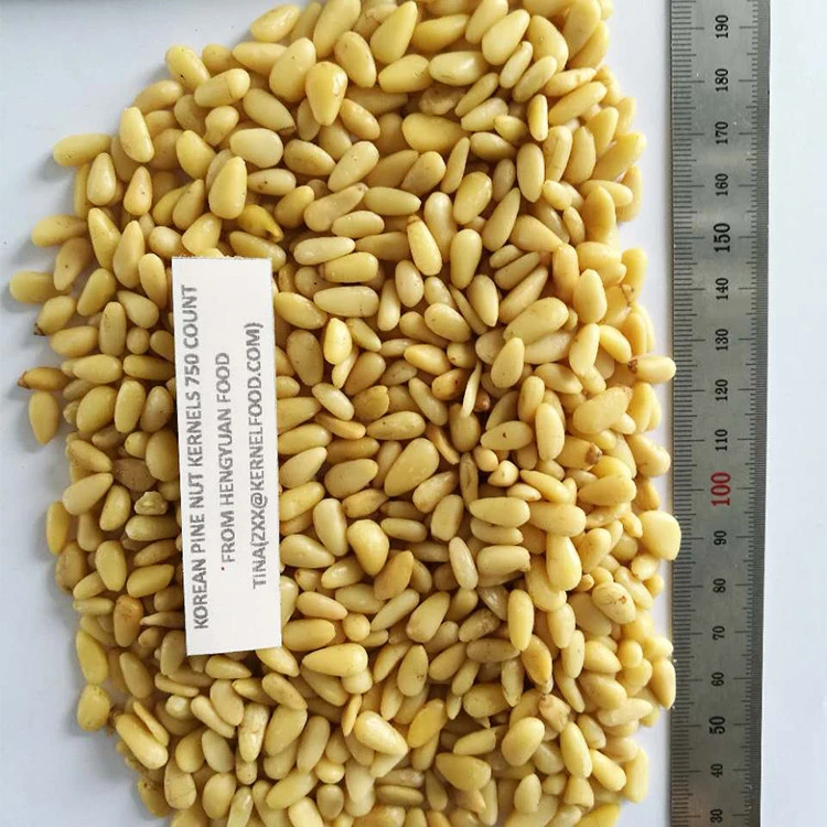 red pine nut kernels high quality lowest price