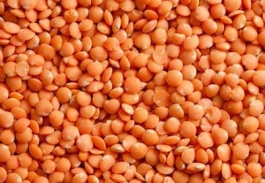 Red whole lentils (Gade A) wholesale