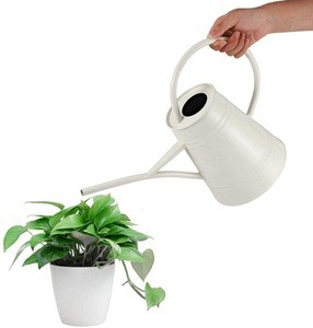 Retro watering can