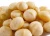 Import Roasted & Salted Macadamia Nuts - Made in Australia 400g x 12 from Australia