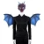 Import Roleparty Wholesale Stock Adult Dragon Mask and Wing Cosplay Costume from China