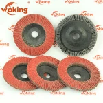 Sanding flap disc