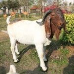 SE7ART Custom Outdoor Garden Decoration FRP Life Size Animal Long-eared sheep Boer goat Sculpture
