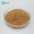 Import Seabuckthorn Flavone Sea Buckthorn Extract from China