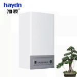shenzhen Gas boiler manufacture