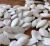 Import shine skin/snow white pumpkin seeds in shell from China