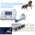 Import Shock Wave Therapy for Horse Tendons &amp; Ligaments Treating injuries and supporting healthy tissues from China