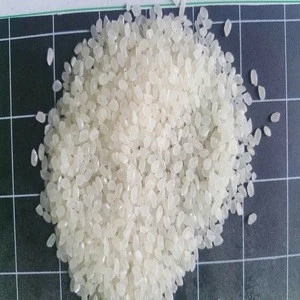 Short Grain 5%Broken Japonica Rice  Medium-Grain Rice-WA: +84905209103