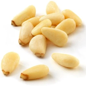 Snacks edible selling pine nut in shell