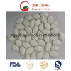 Snow White Pumpkin Seeds for Exporting