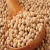 Import Soybean/Soya Bean, Soybean Seeds, Soya Bean Seeds for sale from Philippines