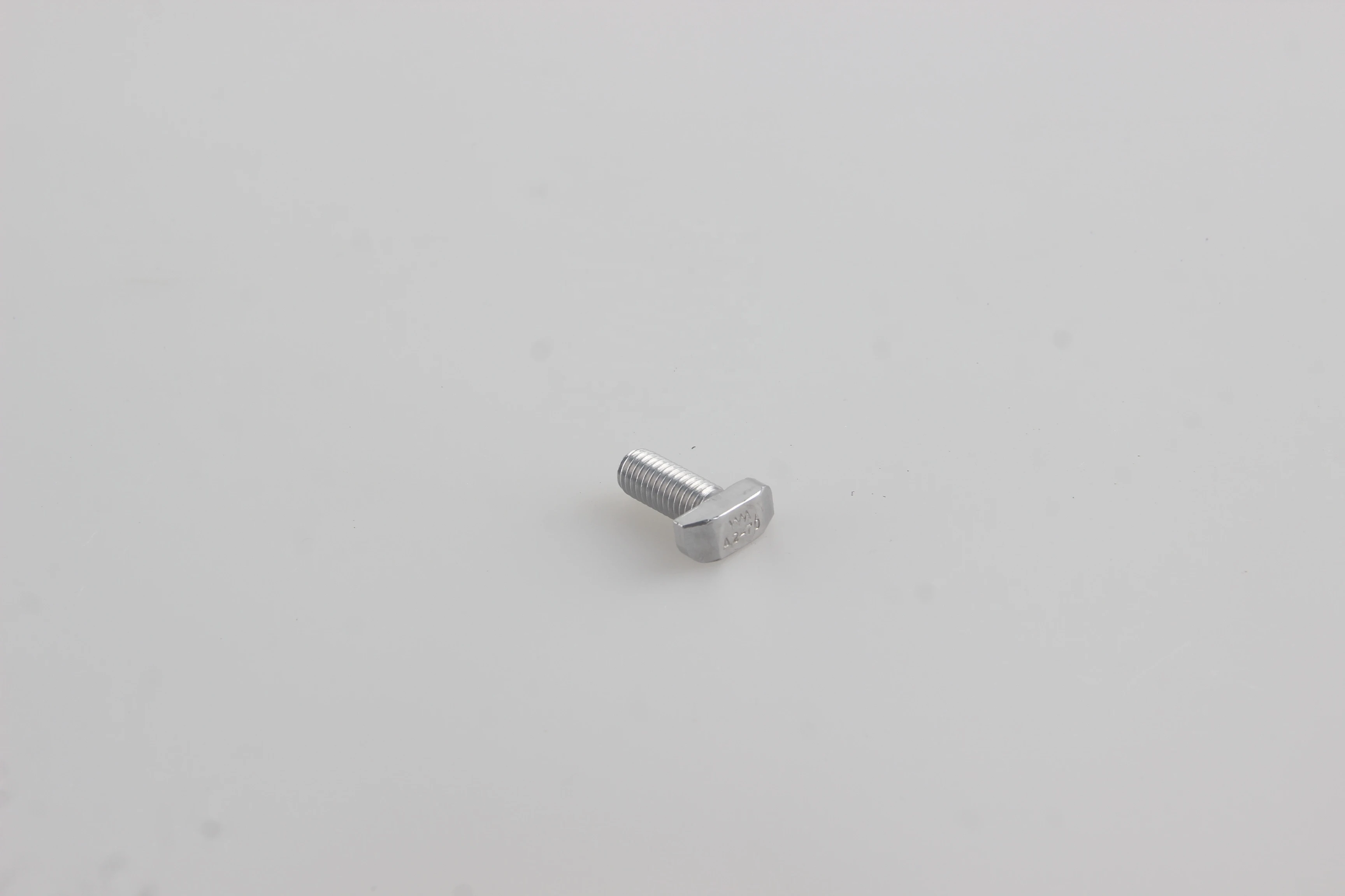 SS 304 and 316 Stainless Steel Countersunk Screws and Nuts